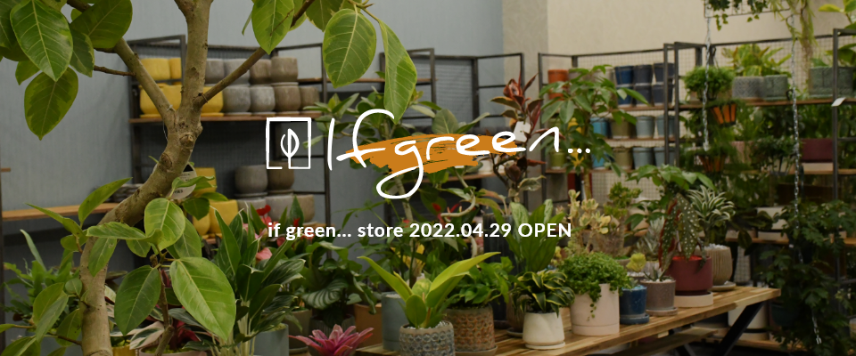 2022.04.29 if green… store OPEN