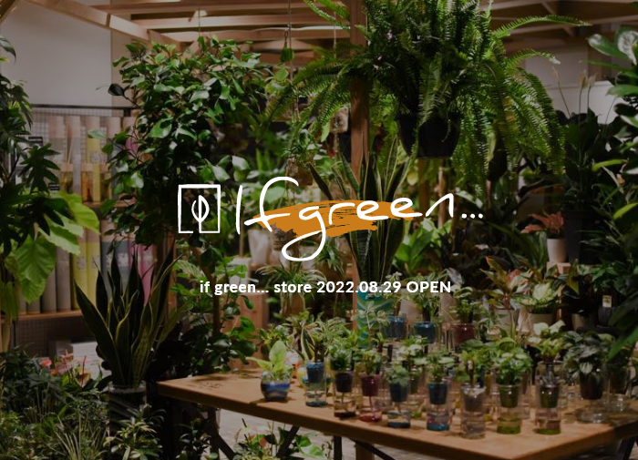 22 08 29 If Green Store Open イチオシ情報 グッデイならできる ホームセンターgooday