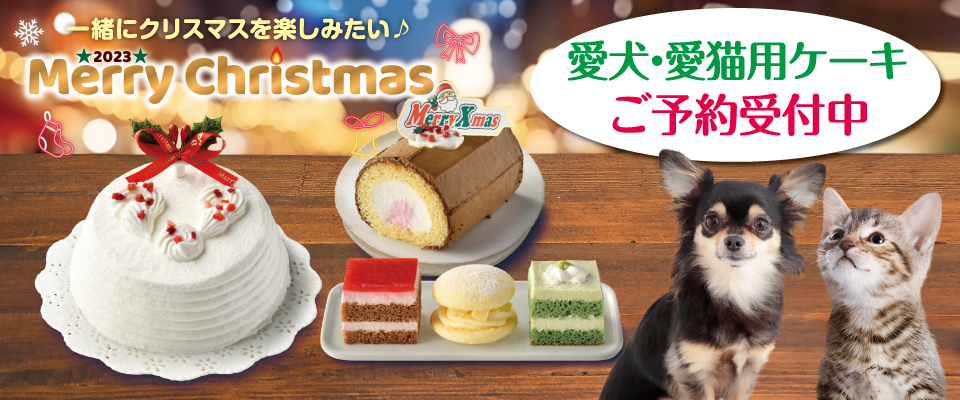 『ペット用クリスマスケーキ』予約販売受付中！