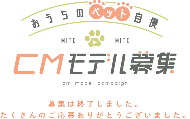 CMモデル募集 終了