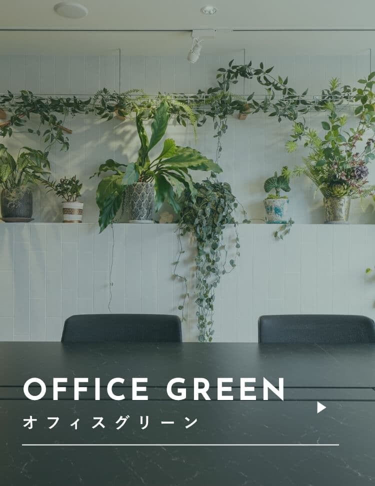 OFFICE GREEN　オフィスグリーン