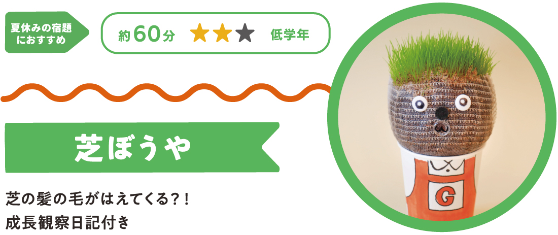 芝の髪の毛がはえてくる?!成長観察日記付き